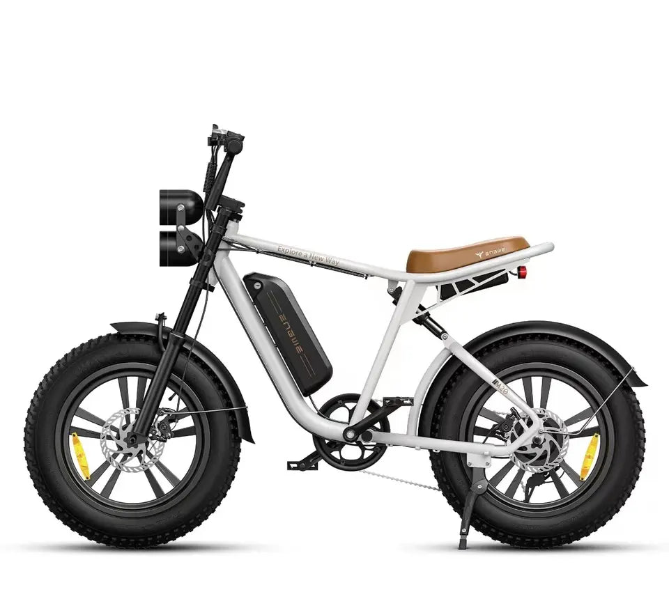 Engwe M20 750W Dual Suspension Enduro E-bike