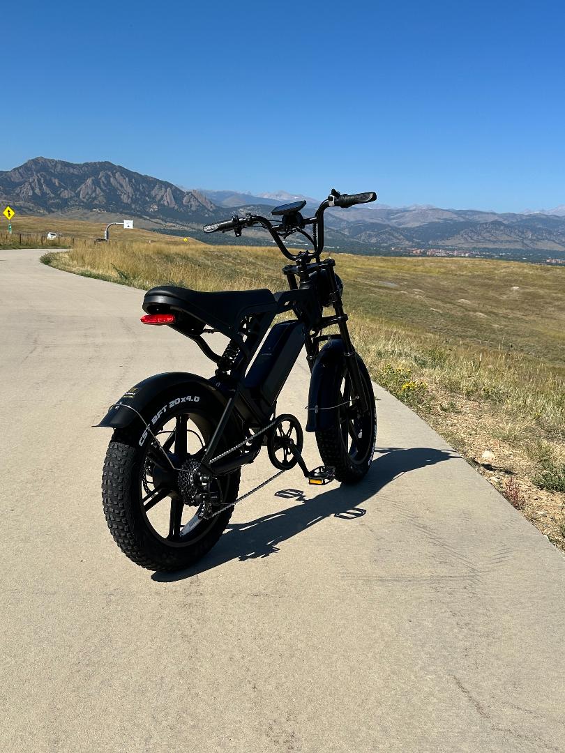 V20 Enduro 750W E-Bike