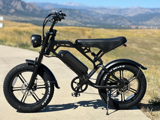 V20 Enduro 750W E-Bike