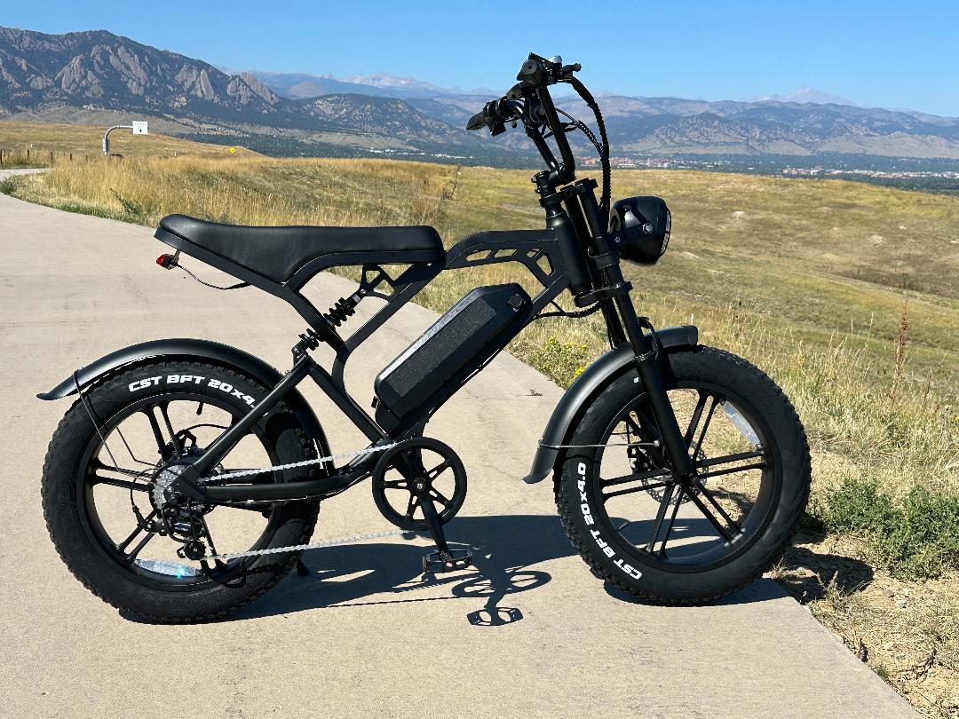 V20 Enduro 750W E-Bike